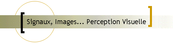 Signaux, Images... Perception Visuelle