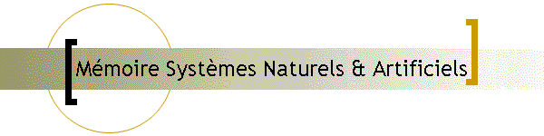 Mmoire Systmes Naturels & Artificiels