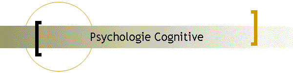 Psychologie Cognitive